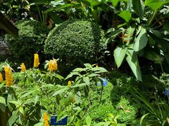 -中国科学院西双版纳热带植物园