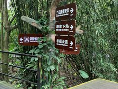 -呀诺达热带雨林
