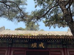 -潭柘寺景区