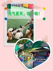 点击看大图 -萌宠亲子动物乐园(槐房万达店)