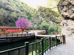 -少华山国家森林公园