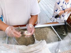 -叶氏麻糍(鼓浪屿店)