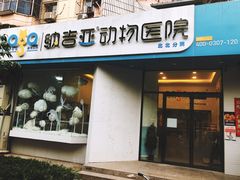-纳吉亚猫专科动物医院·北北分院