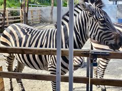 -水上乐园·欢乐世界