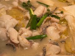 -立标杆麻辣鱼(宝龙广场店)