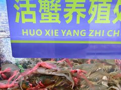 -徐记小怪兽肉蟹煲店(哈西万达金街店)