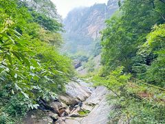 -青峰峡国家森林公园