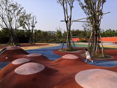 -春花秋色城市公园