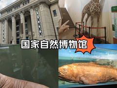 -国家自然博物馆