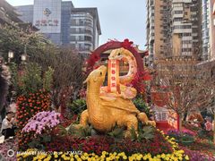 -越秀西湖花市(广州城市广场花卉店)