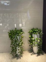 -痘院士专业祛痘皮肤管理