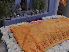 -彩虹桥宠物火化殡葬善终服务(金乐大厦店)