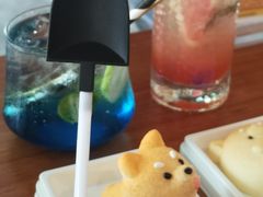 柴柴芝士蛋糕-柴犬高等学院·狗咖·柴犬售卖·宠物训练