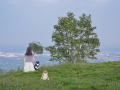 -金堂县云顶石城风景区