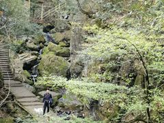 -藏龙百瀑风景区