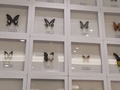 -峨嵋小镇(远洋城店)