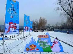 -野鸭湖国家湿地公园