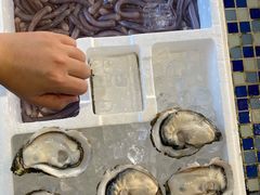 -顺德了能馆(虎门店)