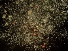 -太湖饭店玉兰厅(自助餐厅)