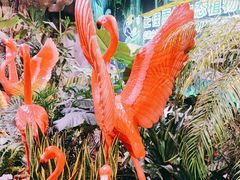 -正佳雨林生态植物园
