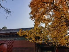 -承恩寺