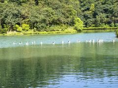 -广州白江湖森林公园