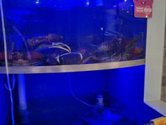 -七欣天香辣蟹火锅(苏州相城VIP总店)