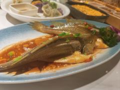 -33号大院·青岛本帮菜(五四广场店)
