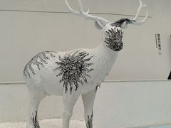 -中国湿地博物馆