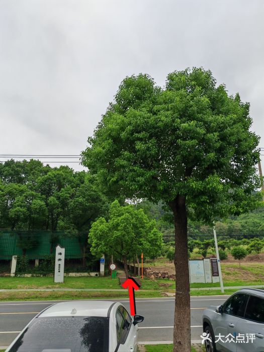 太湖渔洋山图片