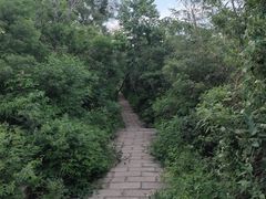 -元大都城垣遗址公园