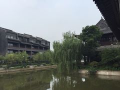 iphone_upload_pic-溱湖国家湿地公园