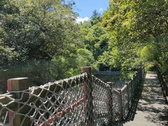 -广州白江湖森林公园