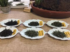 -养心斋涵信茶艺茶道培训