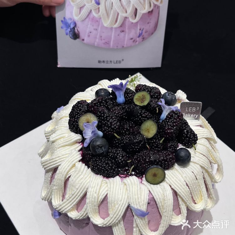 春天的正确打开方式（桑葚是个宝）！