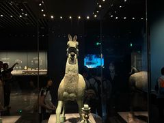 -广西壮族自治区博物馆