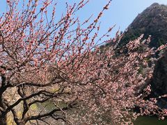 -大连金龙寺国家森林公园-售票处