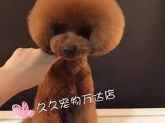 -久久宠物(河东万达店)