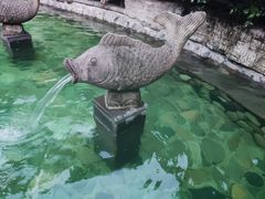 -杭州第一世界大酒店·云曼温泉