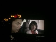 -枫花园汽车电影院(朝阳公园店)