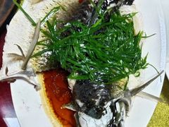 -高州佬美食城(香洲店)