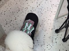 -瑞派康怡24h宠物医院·犬猫医疗中心·微创绝育(瑞景分院)