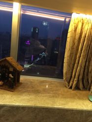 日本DoMo-デザイン(越秀区金润铂宫会所)-ＤＯＭＯプロの美容サロン