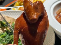 -三强鸽子(中原路店)