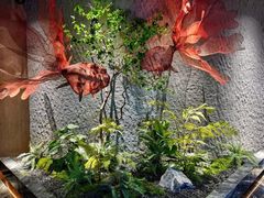 -唐宫足道·SPA·影院会馆(木渎店)