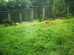 -西安秦岭野生动物园