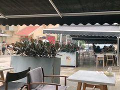 -the rug 飞毯 (朝阳公园店)