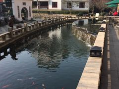 -苏州吴宫泛太平洋酒店
