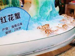 -小天鹅戴斯酒店鲸鲨百汇创作料理