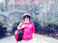 -西双版纳原始森林公园